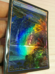 Island #24.2 Foil Extended